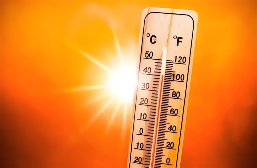 extreme summer heat