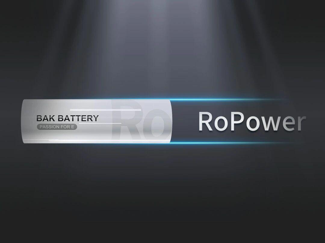 BAK Battery's RoPower Series