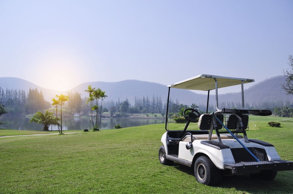 A Complete Guide to Golf Cart Battery Chargers
