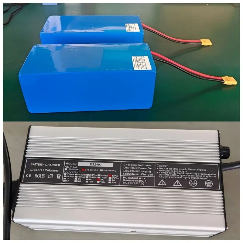 Customized 36V 20Ah NMC Battery Packs and 180W OBC Shipped to Pakistan