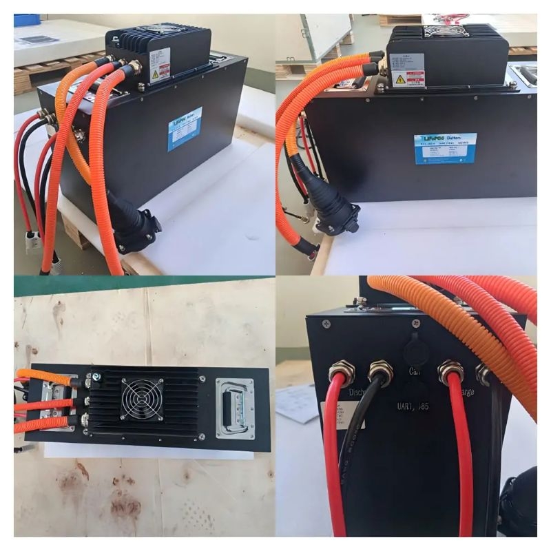 Custom 28.8V 230Ah LiFePO4 Battery Pack and Integrated 2 kW OBC Shipped to Singapore