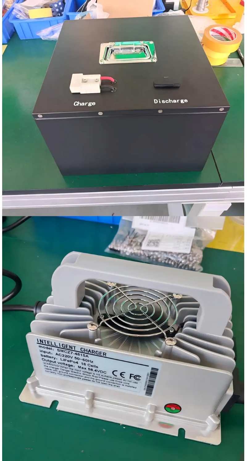 Customized 51.2V 52Ah e-bike Battery Pack and 48V 15A 800W OBC Shipped to Australia