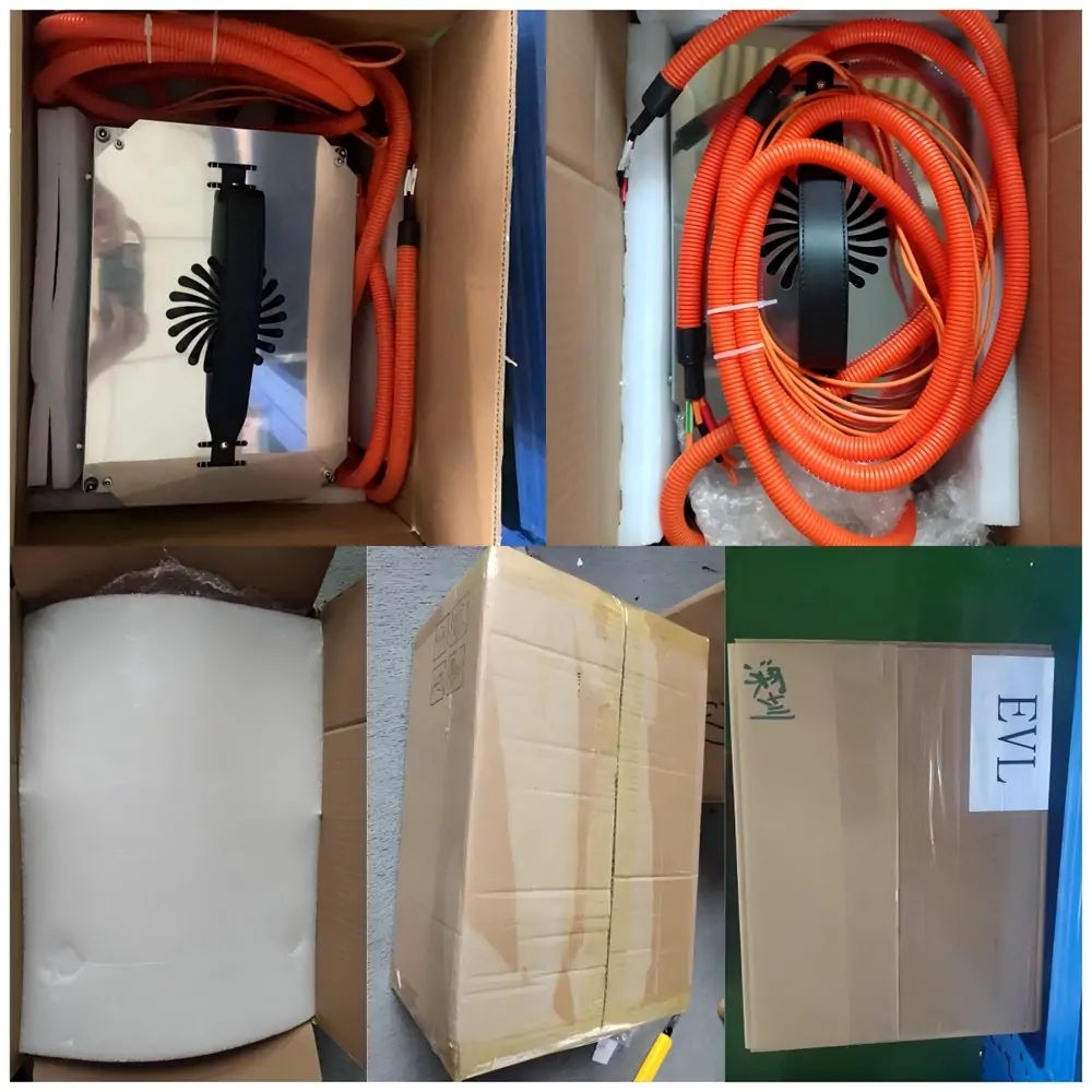 6.6kW 108V RA6P6108 On Board Chargers Shipped to the USA