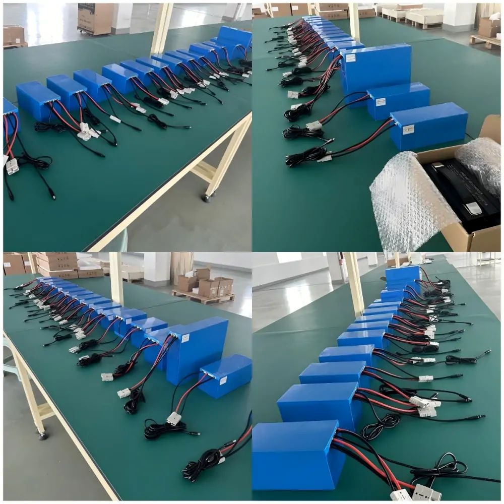 5 Customized Designs of 12V Lithium Battery Packs and a Charger Shipped to Hong Kong